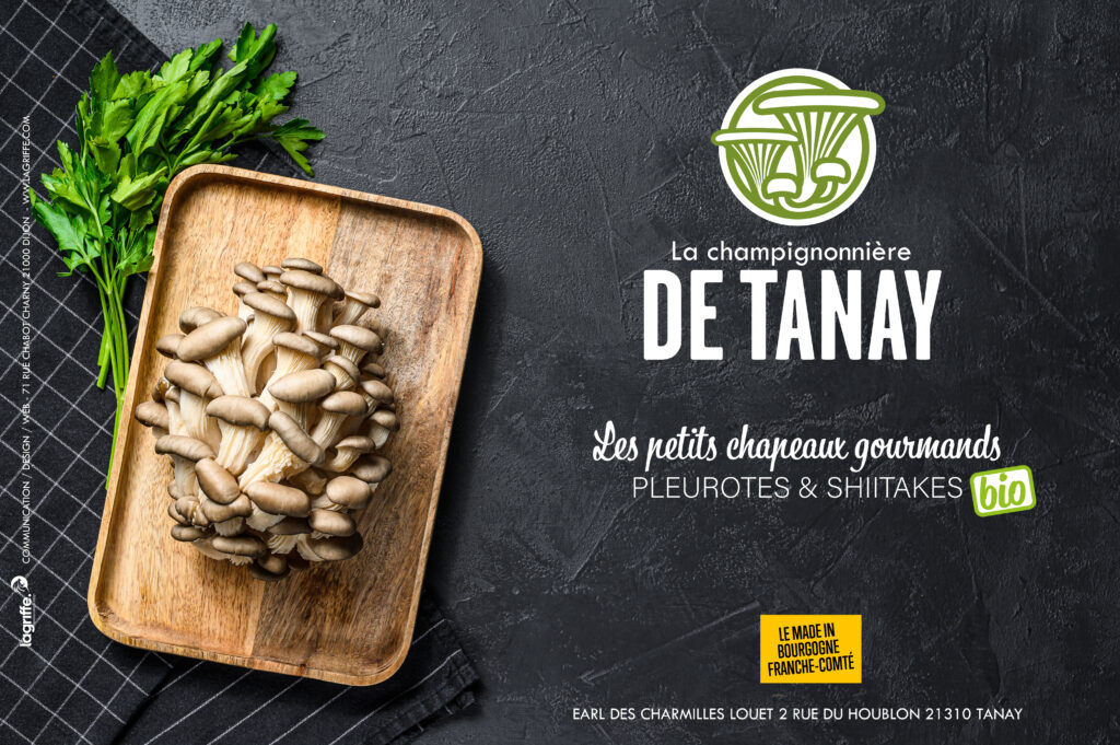 Branding et identité visuelle bio : les champignons de tanay 8 Identité visuelle communication graphisme