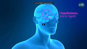 Animation 3d science cnrs 2022