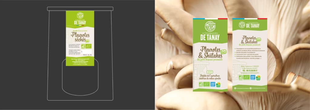 Pleurote tannay
